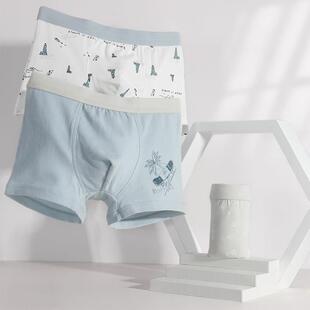 青少年纯棉男童四角裤儿童学生短裤12岁中大童装裤子头15岁四角内