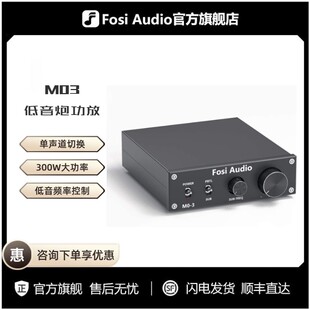 200W迷你单声道音频放大器 低音炮放大器 M03 FosiAudio