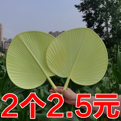 夏季家用扇子蒲扇芭蕉扇老式葵扇