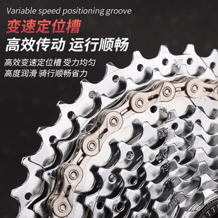 山地公路自行车后飞轮7速旋飞8卡飞27旋式24齿轮21塔轮10通用9 11