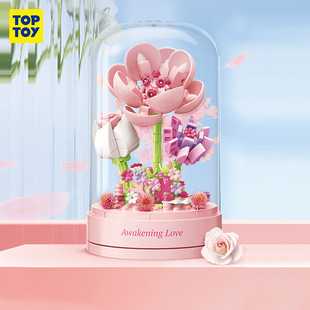 TOPTOY永生花音乐盒积木玫瑰花套装七夕情人节女生礼物送闺蜜精品