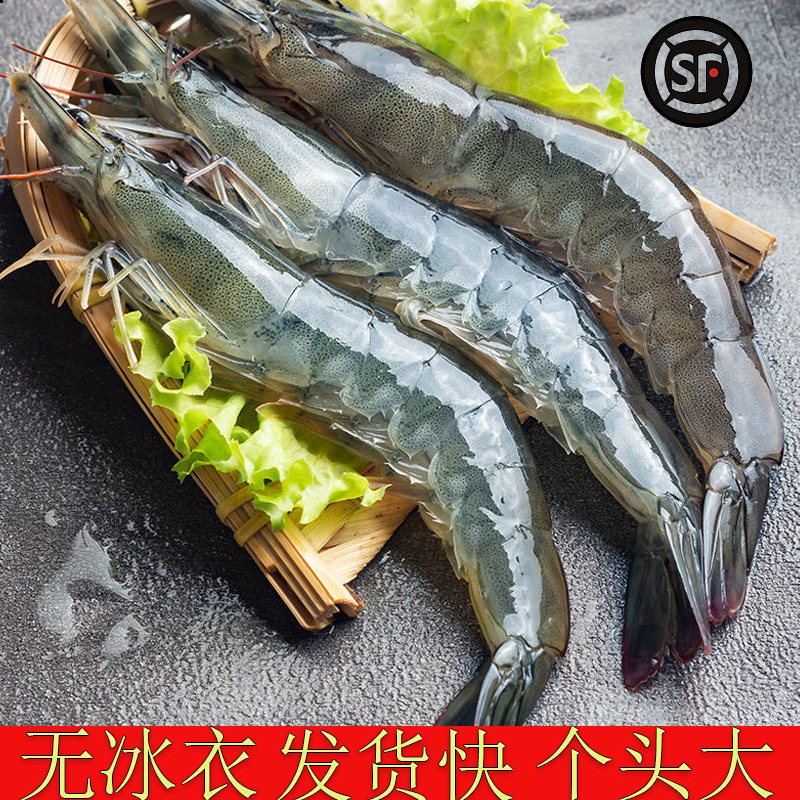 厄瓜多尔大虾无冰盐冻只只分离