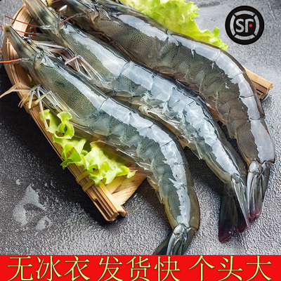 厄瓜多尔大虾无冰盐冻只只分离