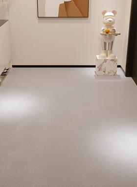 灰色进门门口玄关地垫家用入户门垫纯色可擦免洗pvc地毯耐脏脚垫