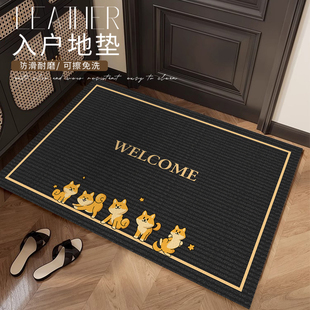 入户门地垫2025新款高端可擦免洗玄关地毯进门口家用pvc室外脚垫