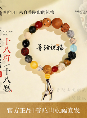 普陀山官方直发十八籽手串正品女款多宝菩提佛珠文玩手链男送礼物