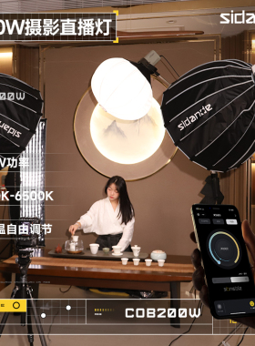 斯丹德光域200W补光灯COB双色温专业可调摄影摄像主播套装