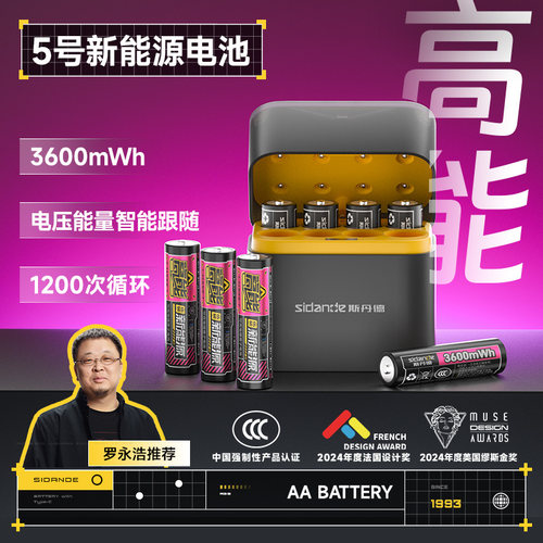 斯丹德8节大容量快充锂电池