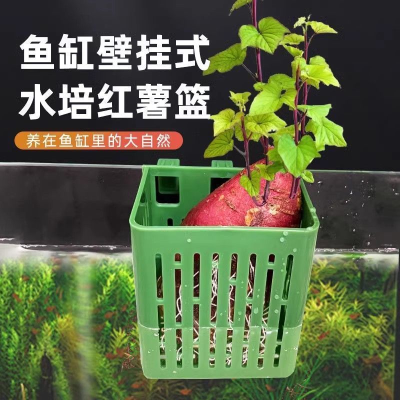 家用鱼缸水培沥水挂篮收纳盒免打孔水草种植杯壁挂式定植篮育苗盘