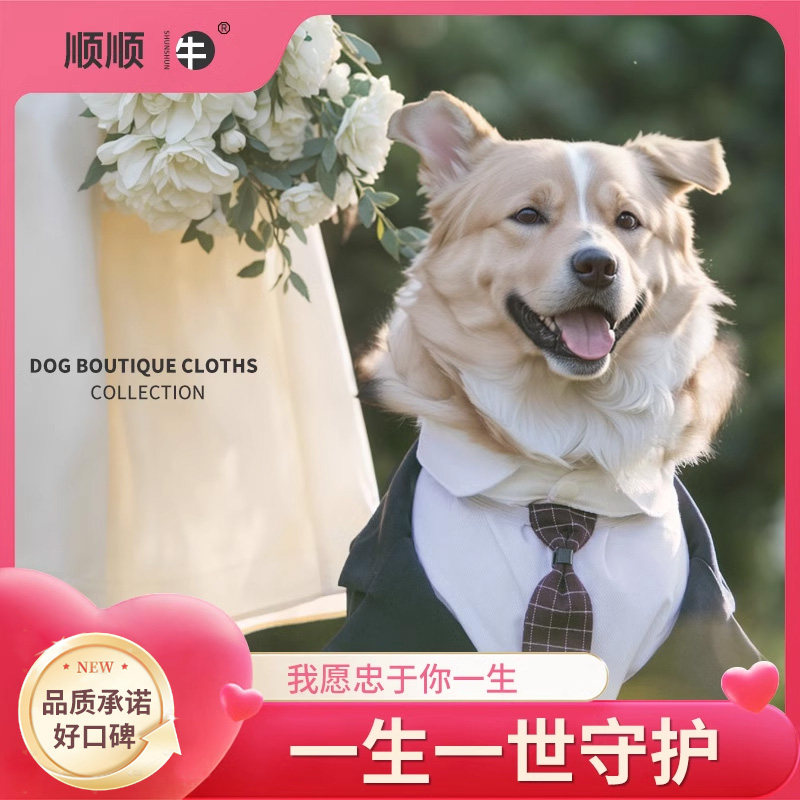 顺顺牛宠物狗狗西装结婚礼服金毛柯基中大型犬婚礼西服柴犬戴领带