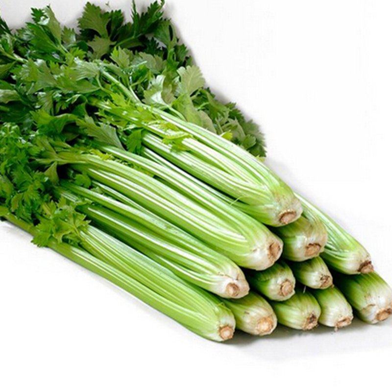高产百利文图拉法国皇后加州王西芹种子春秋大田四季盆栽芹菜苗子