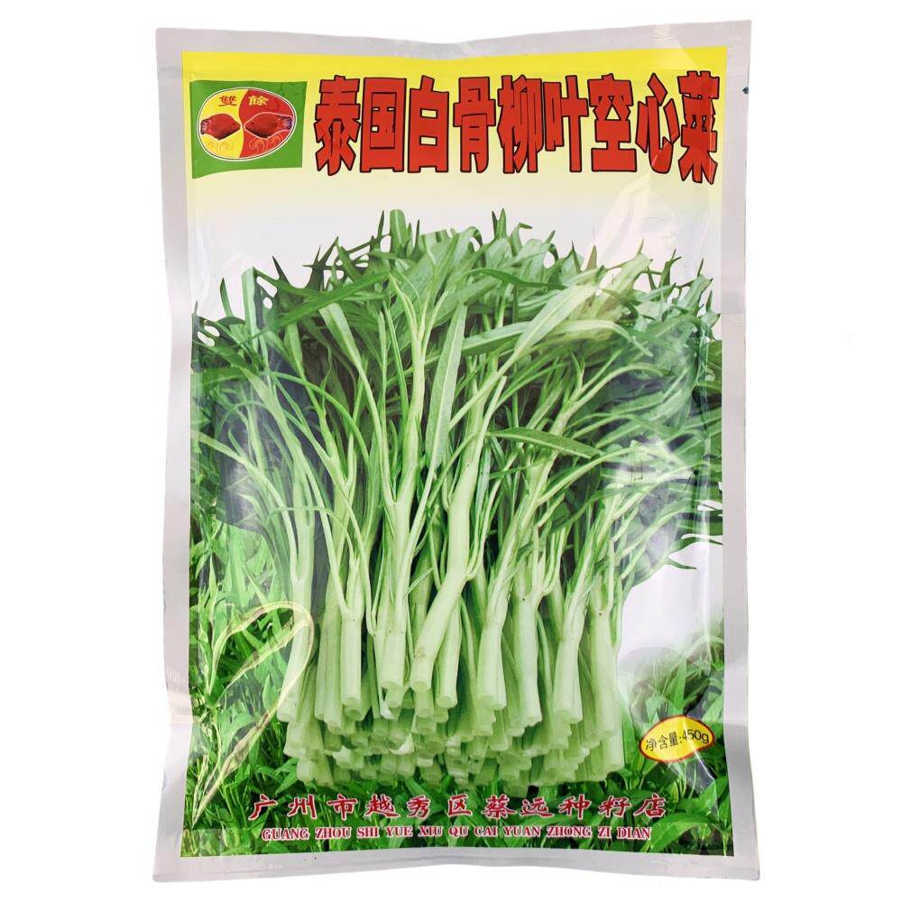 泰国白骨柳叶空心菜种子农