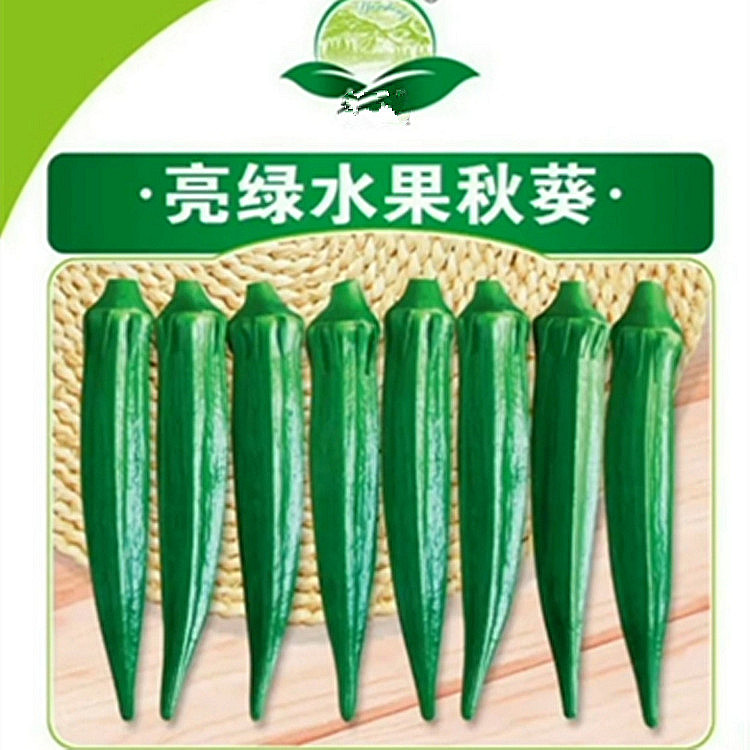 水果秋葵种子高产红黄绿油