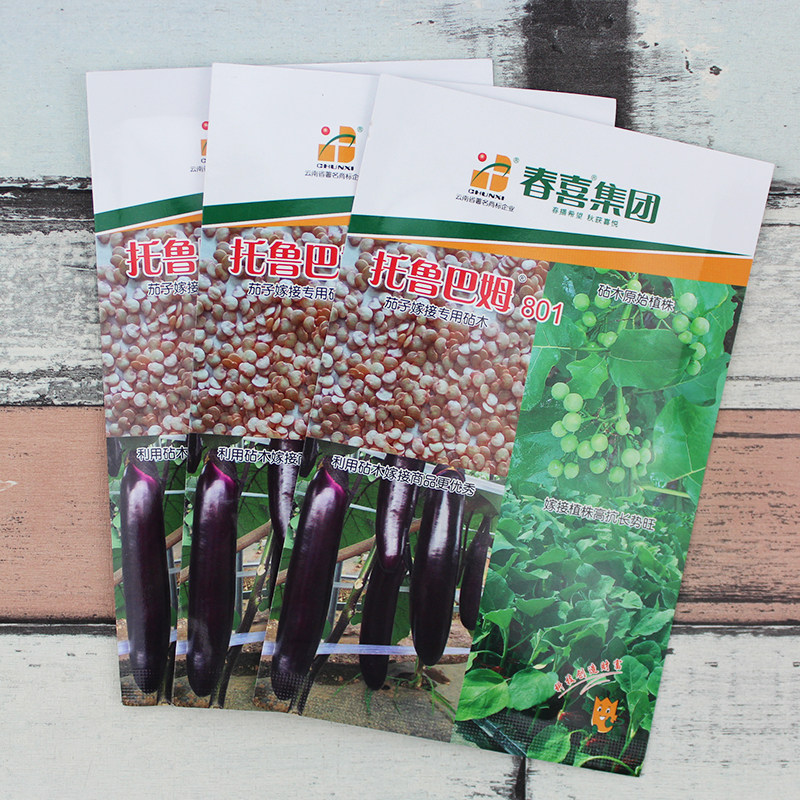 茄子嫁接专用砧木种籽托