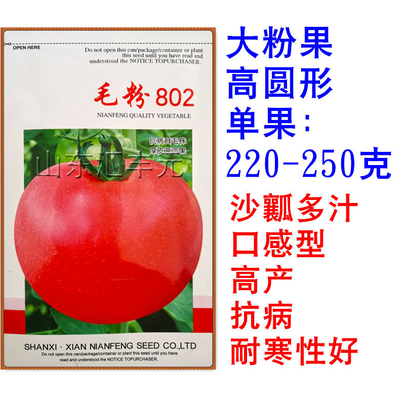 毛粉802西红柿种孑大番茄