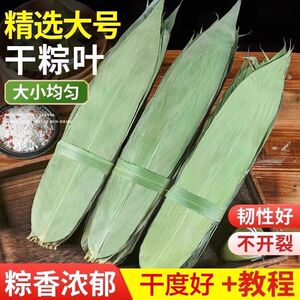 粽子叶粽叶免邮新鲜大叶大号家用粽子叶包粽子粽叶新叶干叶麻竹叶