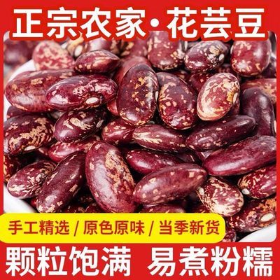 东北紫花芸豆5斤大饭豆四季豆花腰豆子1斤五谷杂粮红花芸豆大碴粥