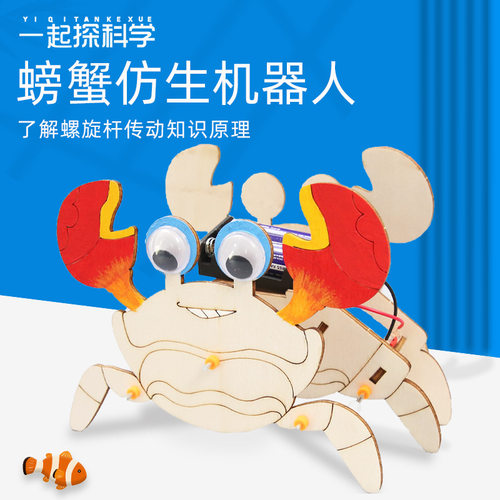 科学实验diy仿生机械螃蟹儿童手工玩具物理材料科技小制作 - 封面