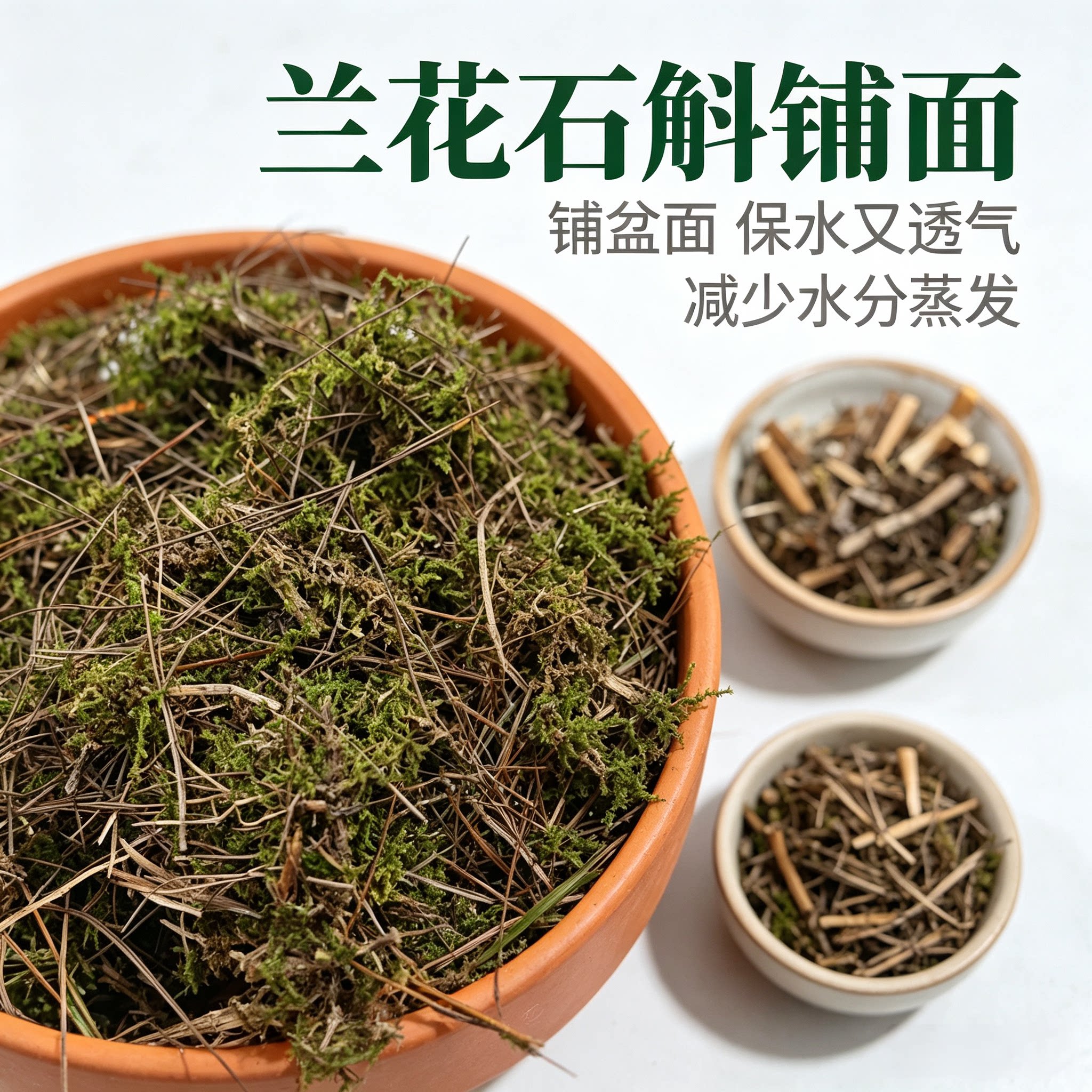 林下苔藓松针混合料兰花石斛盆栽铺面保湿爬虫垫材 自制营养土
