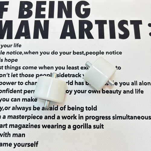 暴走鞋轮子配件双轮四轮