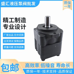 高压叶片液压泵总成DVQ25-22 26 32 38 43 47 52 60 65-F-RAA-01