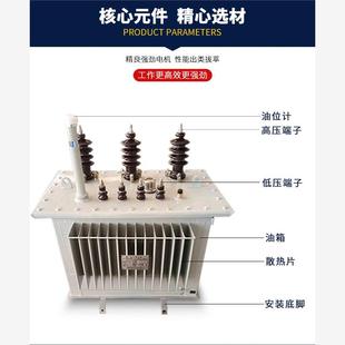 10KV油浸式 800KW 630 S11 500 电力变压器250 200KVA高压35 315