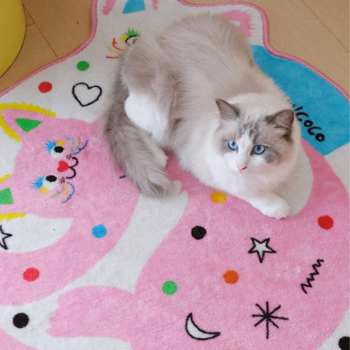 有蒂棵棵甜心猫地毯卧室地垫浴室吸水防滑垫门口圆形多巴胺治愈系 - 封面