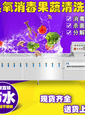 机械厂家金铃子清洗机 全自动癞葡萄清洗设备 商用科枣去污机