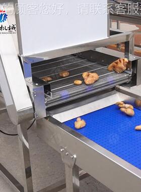 瓜果预提OGQ升清泡洗风传送生产线 干洗果蔬气泡清机 风干机