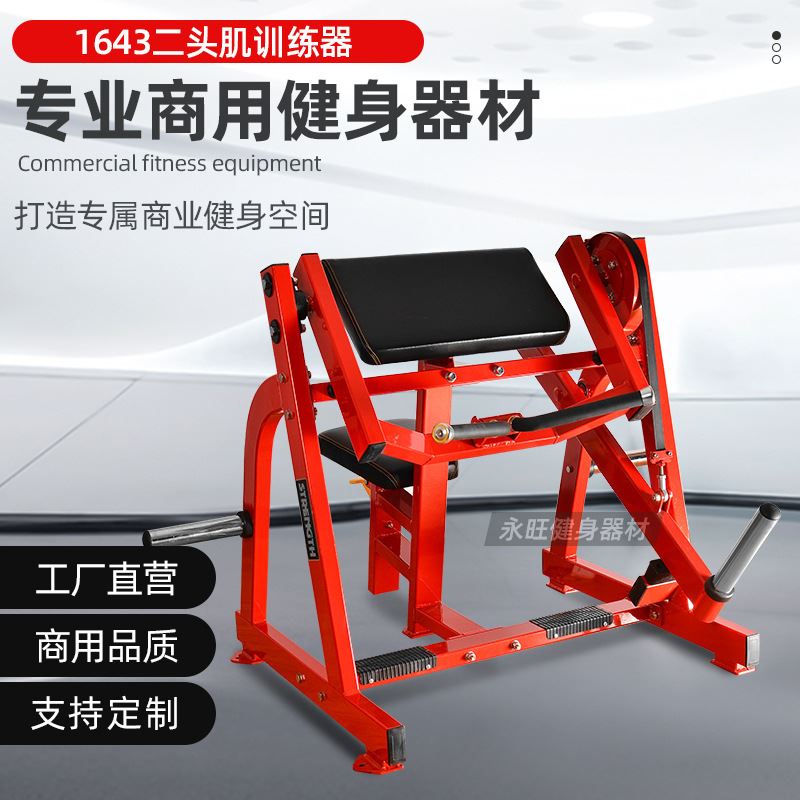 坐式二头肌训练机 健身房商用室内健身器材二头肌锻炼械撸铁挂片