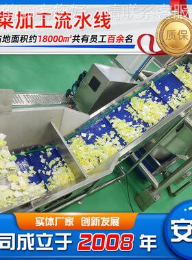 根茎类叶菜专用清菜洗机 预ULE制菜净加工设备 用中央厨房菜净设