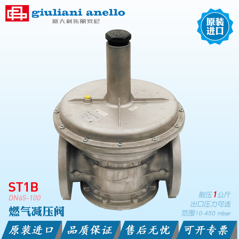 意大利Giuliani燃气减压阀ST1B65