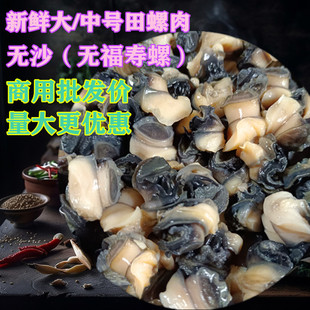 田螺肉新鲜大田螺肉大号田螺肉 田螺肉商用 螺头肉1斤一份3斤包邮