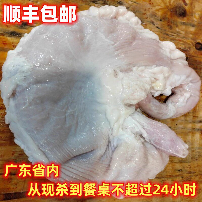 顺丰新鲜土猪肉韶关现杀农家大猪肚长尾巴大猪腰猪大肠子猪肝猪血