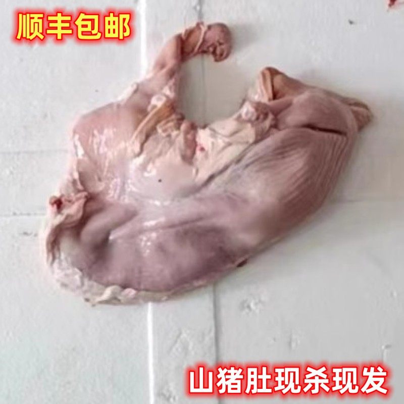 现杀山猪腰猪肚新鲜高山放养