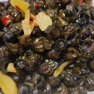 顺丰韶关鲜活溪水山坑螺纯野的生的坑螺5斤新活现发炒煲汤焖美味