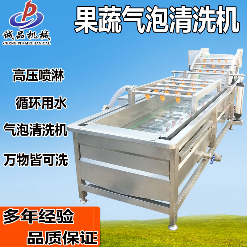 大型果蔬气泡清洗机白菜香葱洗菜机山楂辣椒食品包装袋清洗流水线
