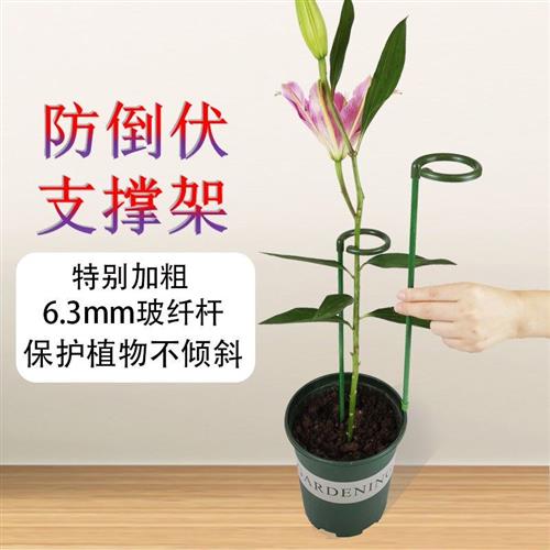 绿植支撑杆花架固定架室外花卉造型支撑杆蝴蝶兰爬藤防倒伏花支架图片