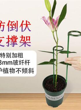 绿植支撑杆花架固定架室外花卉造型支撑杆蝴蝶兰爬藤防倒伏花支架