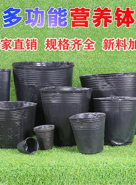 加厚营养钵育苗袋一次性塑料花盆育苗杯黑色果树育苗袋大号塑料