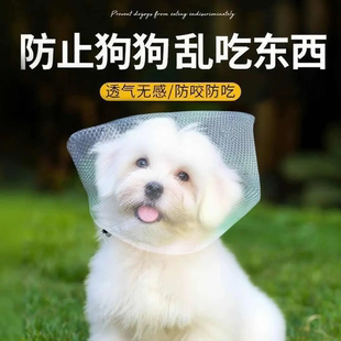 狗狗防乱吃网纱面罩狗狗防咬乱吃嘴套嘴罩防舔网套比熊头罩神器