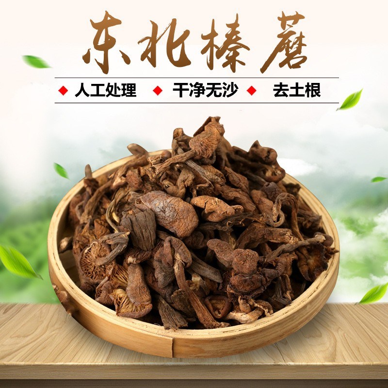 东北榛蘑干货长白山特产小鸡炖蘑菇自然晾晒蘑菇250g500g榛蘑新货