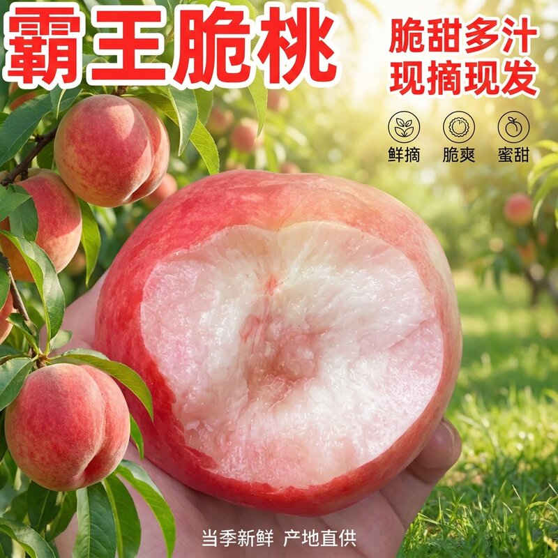 顺丰新鲜霸王脆蜜桃现摘现发自然成熟脆甜可口5斤装
