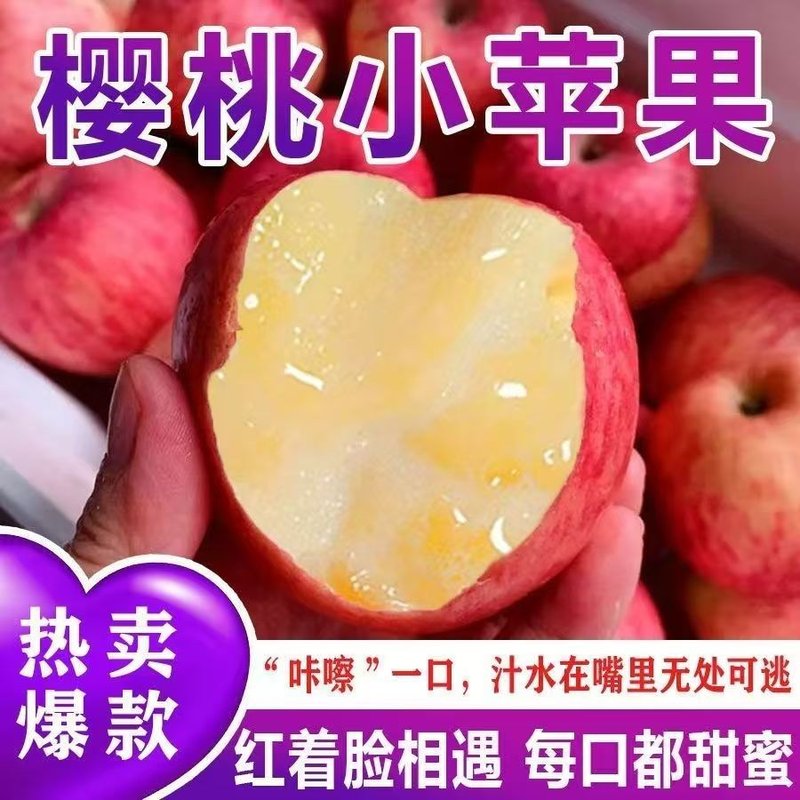 26年(樱桃小苹果)云南高原樱桃小苹果冰糖心甜脆爽口新鲜应季水