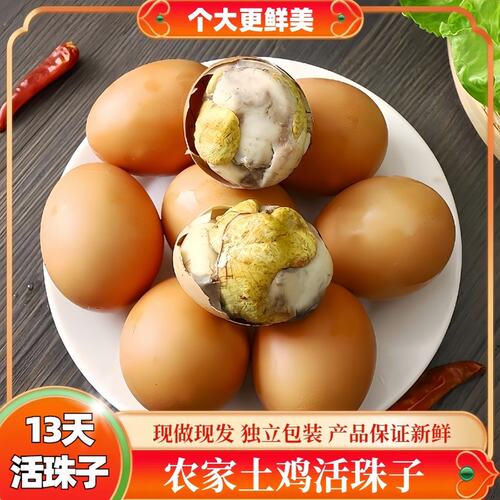十三天新鲜活珠子鸡胚蛋五香香辣味红壳大个开袋即食
