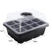 12孔透气育苗盒三件套植物培养扦插播种盆保湿 温盒子育苗盘穴盘