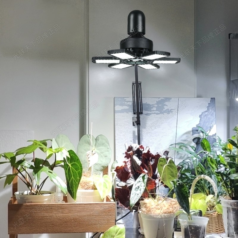 光联天下夹子植物台灯全光谱热植绿植生长灯桌面盆景微景观补光灯