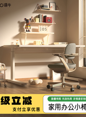 课牛kenro斐澜人体工学椅家用日常办公家用青少年学习休闲家居椅