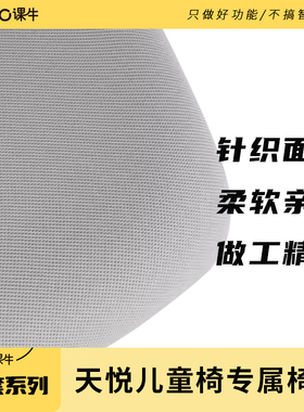天悦儿童椅专属椅套（仅限坐垫）
