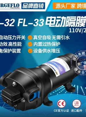 FL-32220V微小型交流电动隔膜